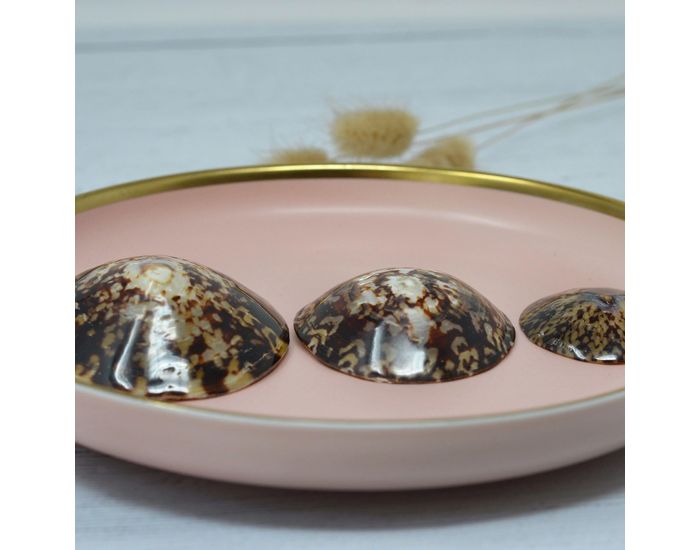 IRR�VERSIBLE Coquillage d'Allaitement Mammaire - Patelle (2)