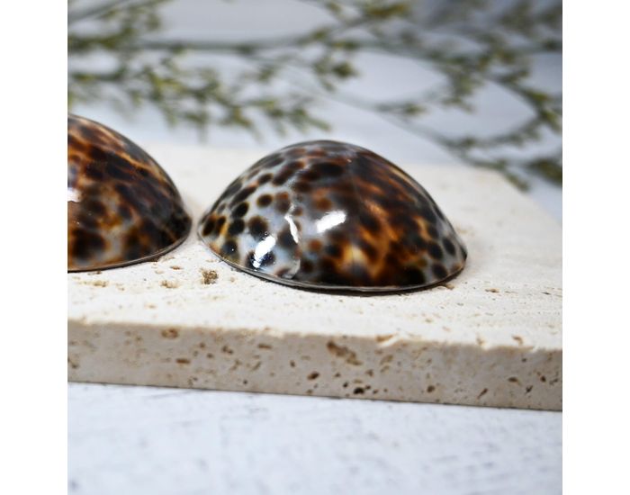 IRR�VERSIBLE Coquillage d'Allaitement Mammaire - Brillant (9)