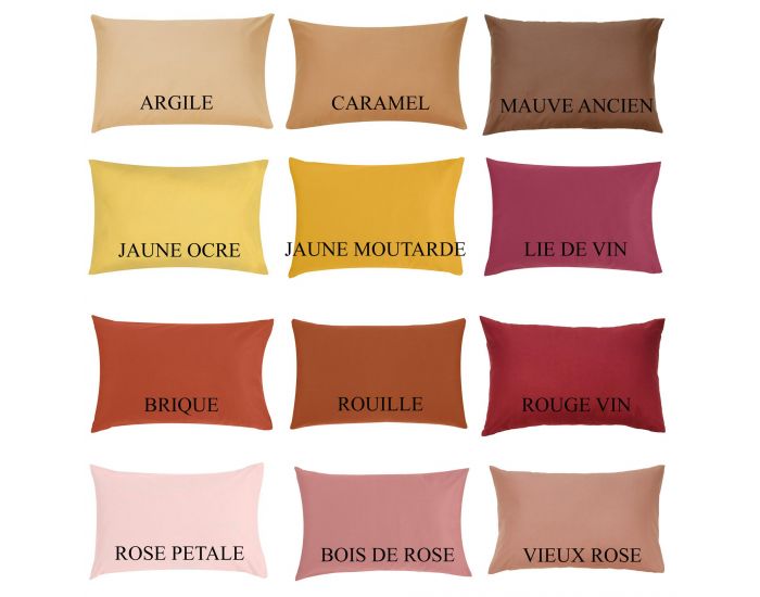 P'TIT BASILE Lot de 2 Taies d'Oreiller - Coton Bio - 63x63 cm (2)