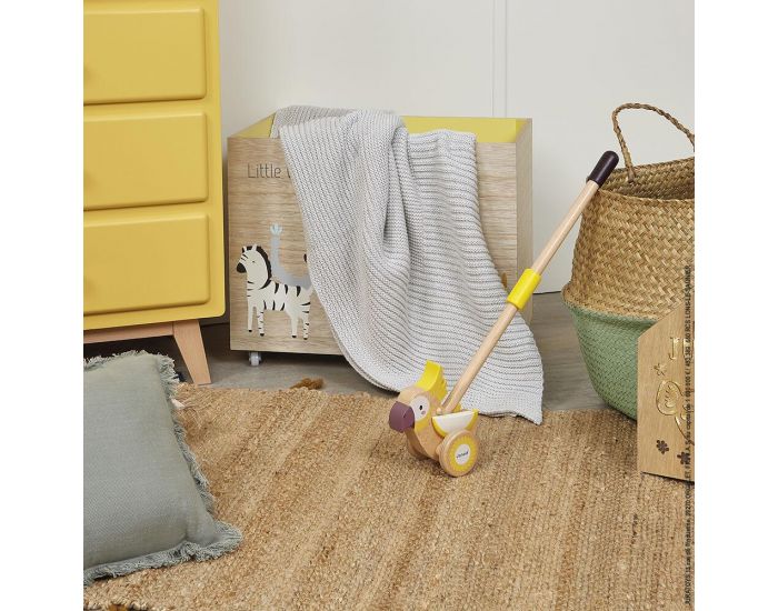 JANOD Cacato�s � Pousser en Bois - D�s 1 an (1)