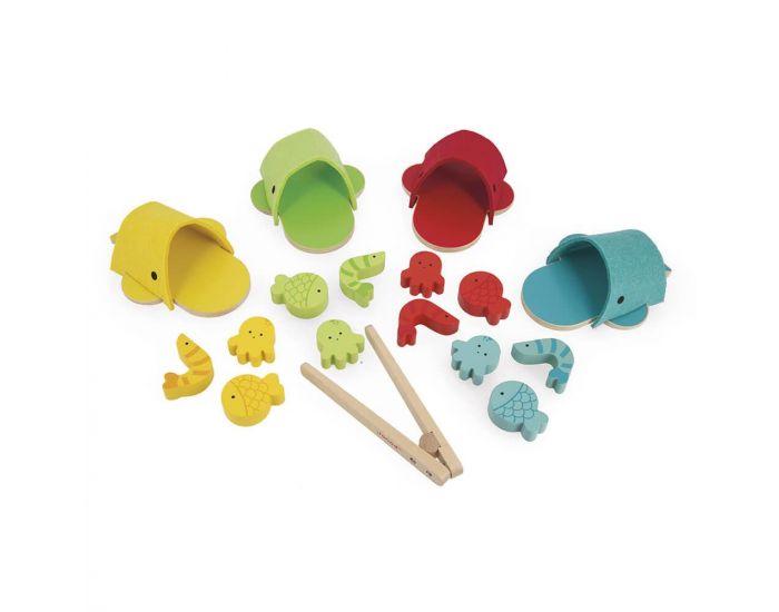 JANOD Tri des Couleurs Baleines - D�s 2 ans (3)