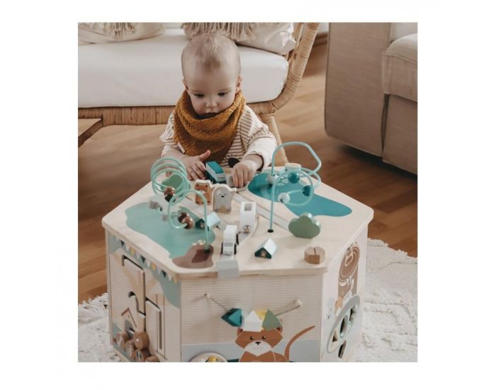 SMALL FOOT COMPANY Cube de Motricit� XXL - Animaux Domestiques - D�s 1 an (3)