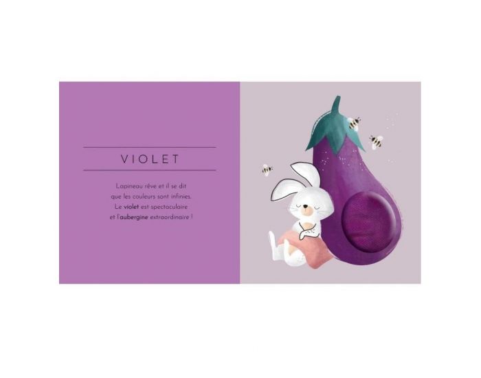 SASSI JUNIOR Livre Touche � Tout - Les Couleurs - D�s 2 ans (1)