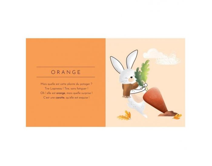 SASSI JUNIOR Livre Touche � Tout - Les Couleurs - D�s 2 ans (2)