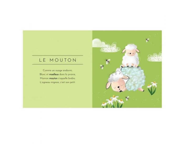 SASSI JUNIOR Livre Touche � Tout - Les Animaux - D�s 2 ans (1)