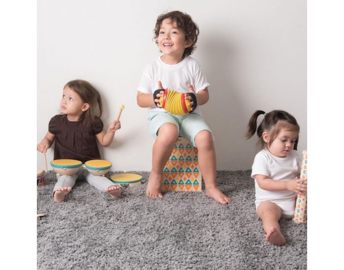 PLAN TOYS Bandon�on - D�s 12 mois (3)