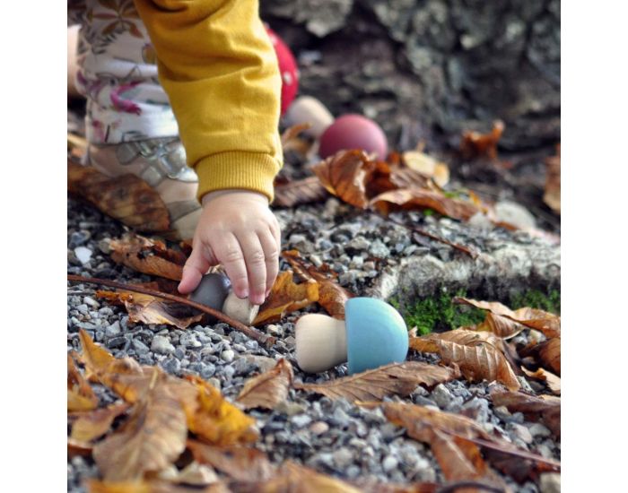 PAPOOSE TOYS Champignons en Bois - Set de 7 - D�s 3 ans (5)