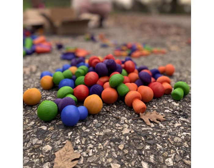 PAPOOSE TOYS Mini Champignons en Bois Rainbow - Set de 7 - D�s 3 ans (1)