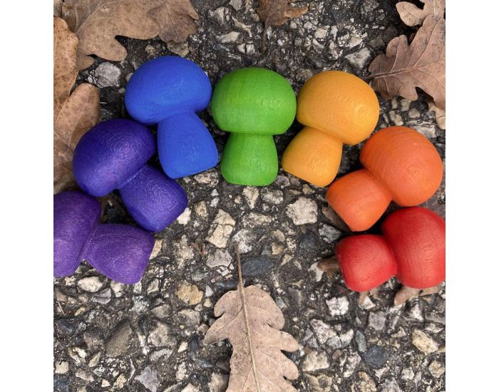 PAPOOSE TOYS Mini Champignons en Bois Rainbow - Set de 7 - D�s 3 ans (5)