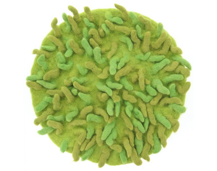 PAPOOSE TOYS Tapis de Jeu en Laine Feutr�e - Herbes - Set de 2 - D�s la naissance (1)