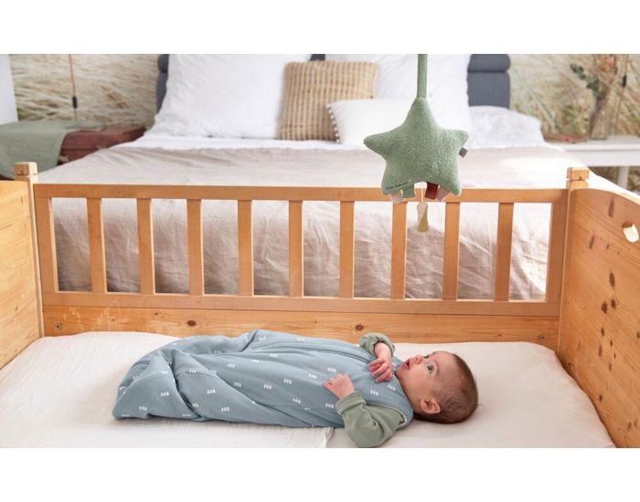 LASSIG Bo�te � Musique - D�s la Naissance (2)