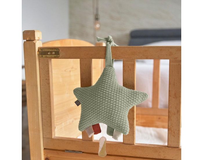 LASSIG Bo�te � Musique - D�s la Naissance (4)