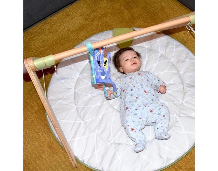 LES D�GLINGOS Livre d'�veil Kiprokos le Z�bre - D�s la Naissance (3)