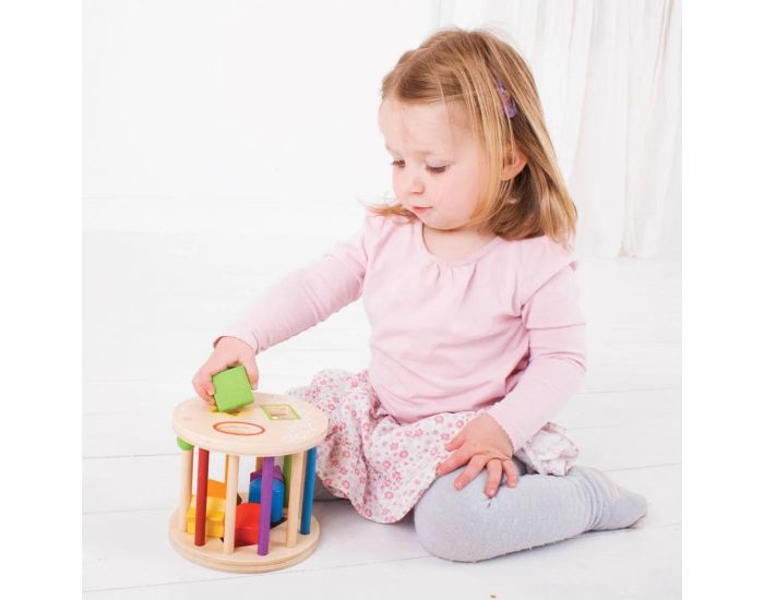 BIGJIGS TOYS Rouleau Trieur de Formes - D�s 1an  (2)