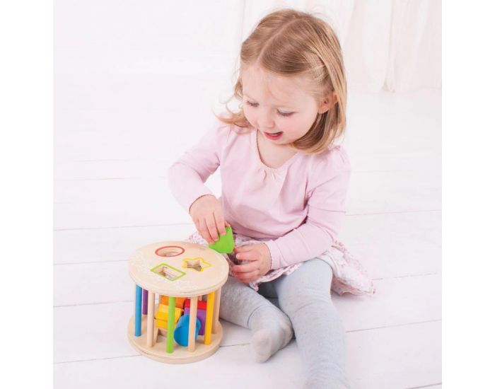 BIGJIGS TOYS Rouleau Trieur de Formes - D�s 1an  (3)