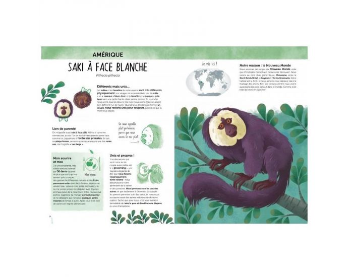 SASSI JUNIOR Atlas de la Biodiversit� - Animaux insolites et curieux - D�s 6 ans (1)