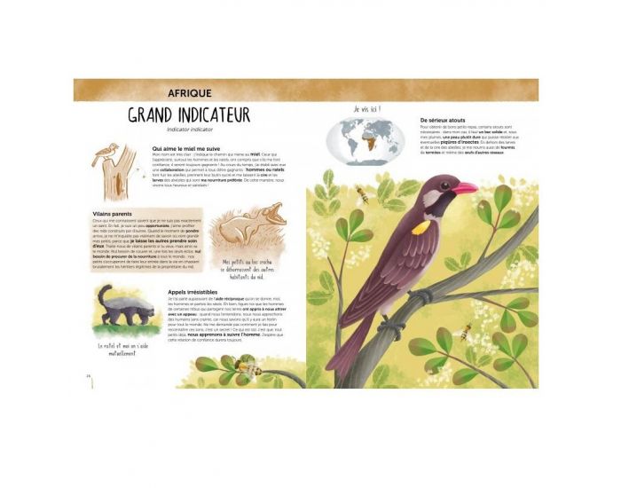SASSI JUNIOR Atlas de la Biodiversit - Animaux insolites et curieux - Ds 6 ans (2)