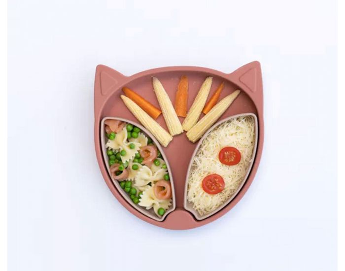 TIDY TOT Assiette � Compartiments Ventous�e - en Silicone  (1)