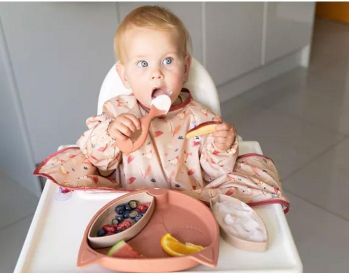 TIDY TOT Assiette � Compartiments Ventous�e - en Silicone  (3)