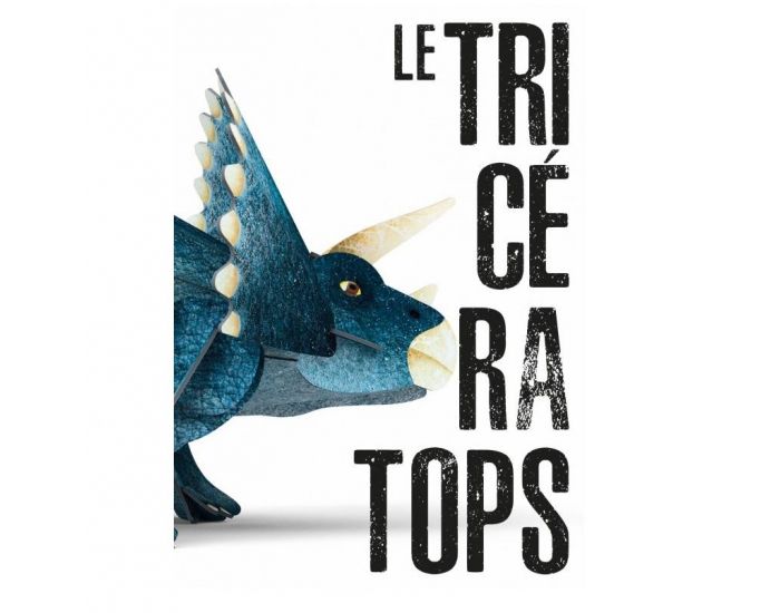 SASSI JUNIOR L're des Dinosaures - Le Tricratops - Ds 6 ans  (2)