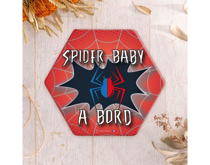 IRREVERSIBLE Adhsif / Autocollant - Bb  Bord - Spider Baby (1)