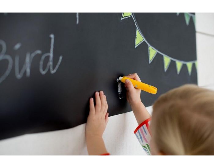 JAQ JAQ BIRD 12 Craies colores Zro poussire + 1 Porte-craie - Ds 3 ans (7)