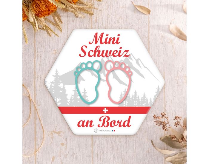 IRREVERSIBLE Adhsif / Autocollant Bb  Bord - Mini Schweiz an Bord (5)