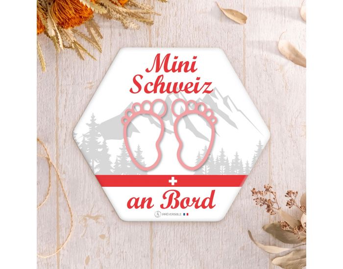 IRREVERSIBLE Adhsif / Autocollant Bb  Bord - Mini Schweiz an Bord (7)