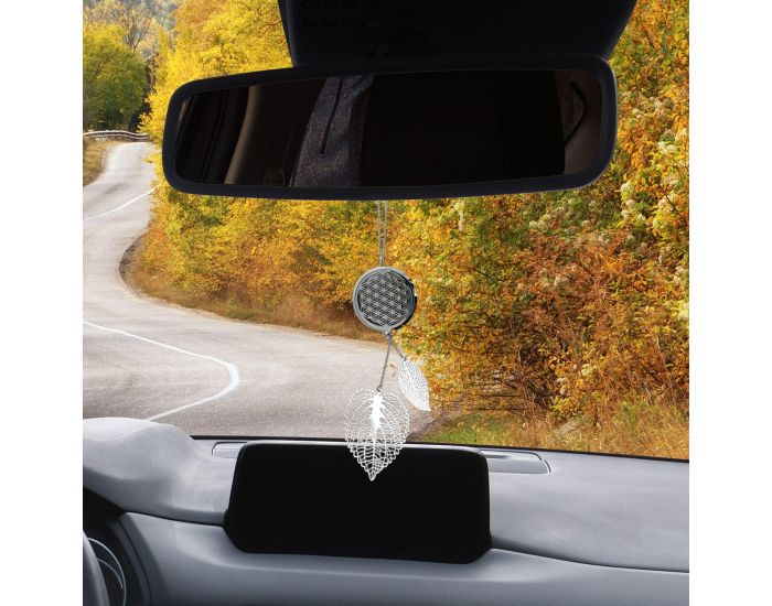 IRREVERSIBLE Bijou de R�troviseur - Aromath�rapie Voiture : �l�gance et Voyage Sensoriel (2)