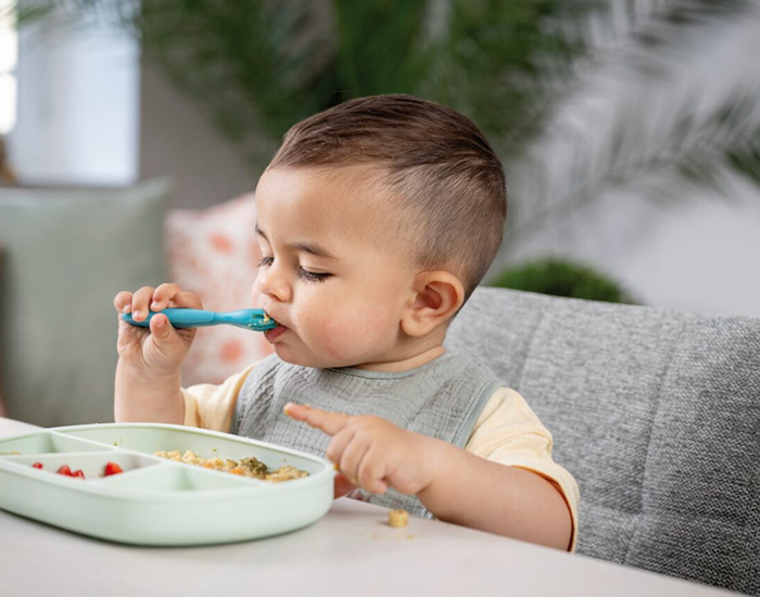 TIGEX 2 Couverts d'Apprentissage (6)