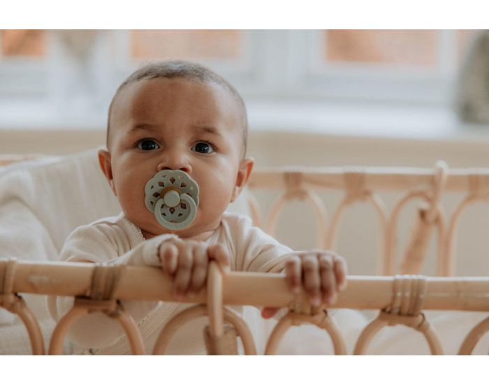 BIBS Lot de 2 Sucettes Caoutchouc - T�tines Rondes - Boh�me - P�che - Marmotte - Taille 1 (2)