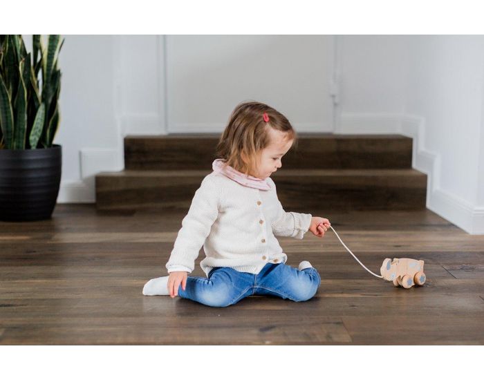 KINDSGUT Jouet � Tirer en Bois - D�s 18 mois  (2)