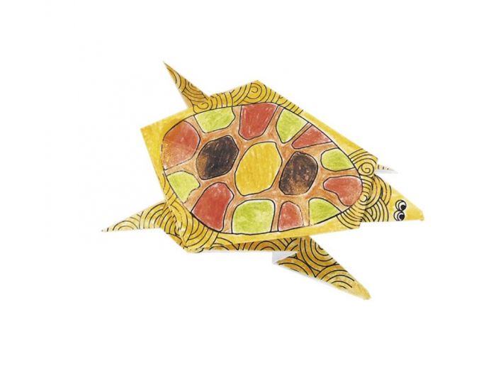 FRIDOLIN Coloring Origami - Tortue - Ds 6 ans (2)