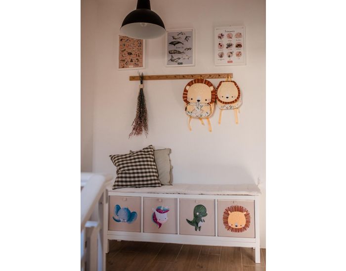 SASSI JUNIOR Bo�te de Rangement Carr�e - Cracky le Dinosaure (1)