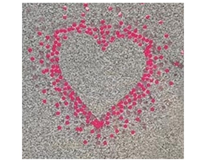 MAYOPARASOL Coeur Fruit Tshirt Top - Manches Courtes Anti-UV - Gris (3)