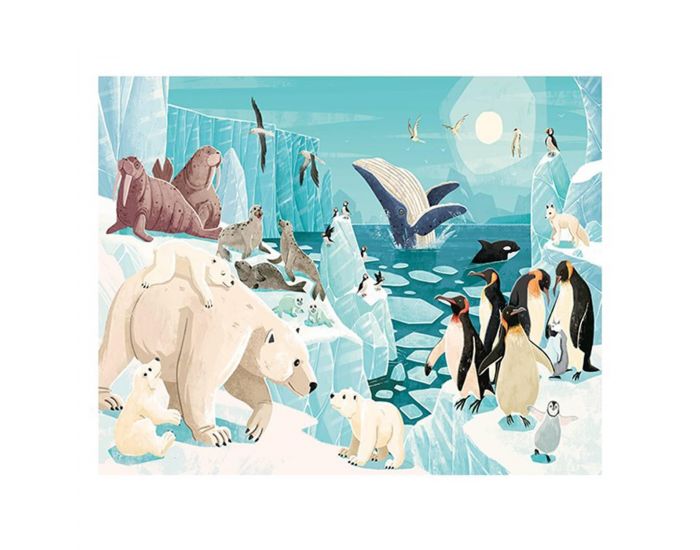 SASSI JUNIOR Puzzle & Livre - La Plan�te en Danger, Les Glaces - D�s 6 ans  (1)