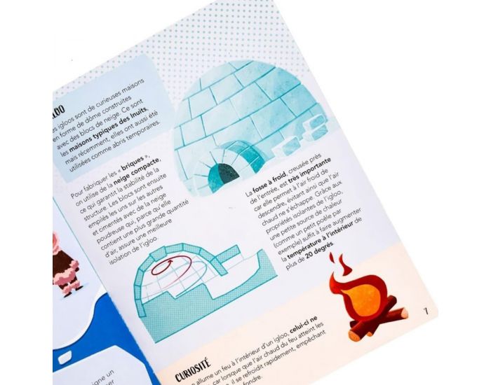 SASSI JUNIOR Puzzle & Livre - La Plan�te en Danger, Les Glaces - D�s 6 ans  (3)