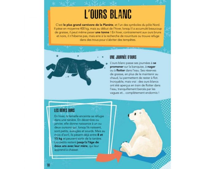 SASSI JUNIOR Puzzle & Livre - La Plan�te en Danger, Les Glaces - D�s 6 ans  (5)