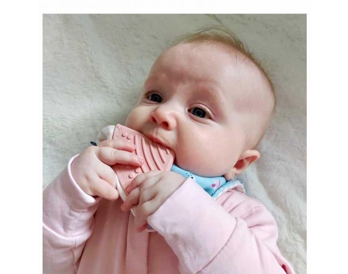 CHEEKY CHOMPERS Bavoir Bandana avec Embout de Dentition - Fleurs (2)