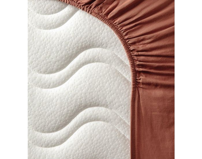 KADOLIS Drap Housse Adulte - Coton Bio - 80 Fils - Terracotta (3)