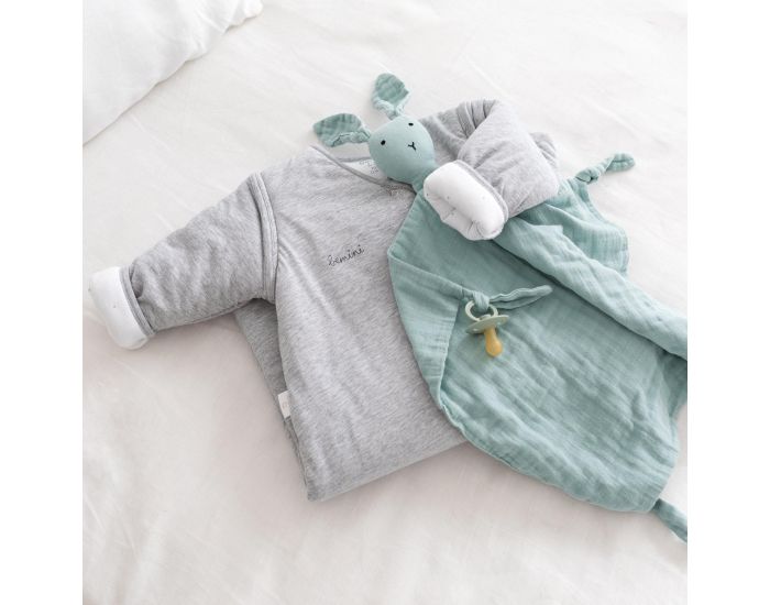 BEMINI Gigoteuse Jambes Sparables Pady Jersey - Hiver - Tog 3 - 4  12 Mois  (23)