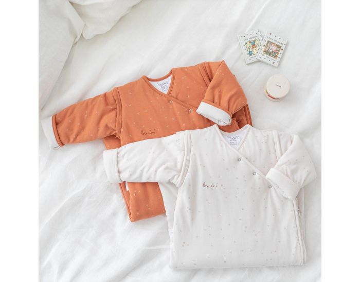 BEMINI Gigoteuse Jambes Sparables Pady Jersey - Hiver - Tog 3 - 4  12 Mois  (29)