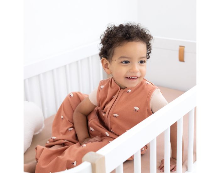 BEMINI Gigoteuse Jambes S�parables Jersey Et� - Tog 0.5 - 24 � 36 mois (43)