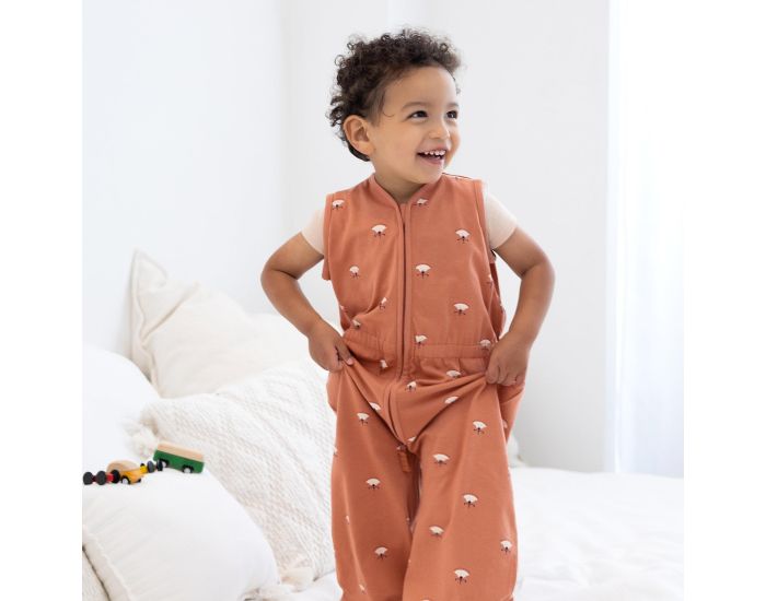 BEMINI Gigoteuse Jambes S�parables Jersey - Et� - Tog 0.5 - 12 � 24 mois (38)