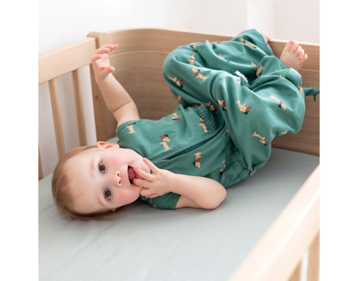 BEMINI Gigoteuse Jambes S�parables Jersey - Et� - Tog 0.5 - 12 � 24 mois (51)