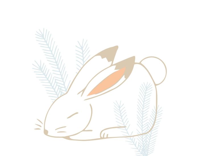 LILIPINSO - Affiche Seule - Nordic - Lapin 