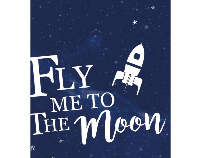 LILIPINSO - Affiche Seule - Espace et Fus� (1)