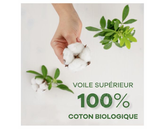 ALWAYS 4 x 24 Prot�ge-Slips Dailies Cotton Protection - Large (4)