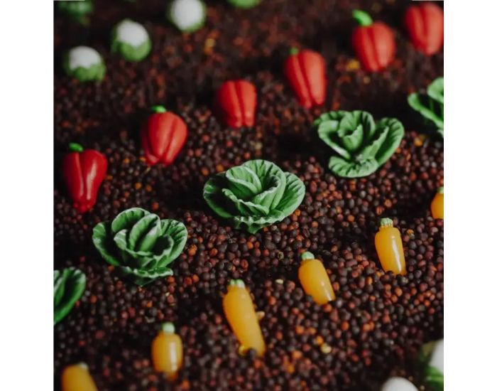 PETIT BOUM Bouteille Sensorielle - Learn L�gumes - D�s 6 mois (6)