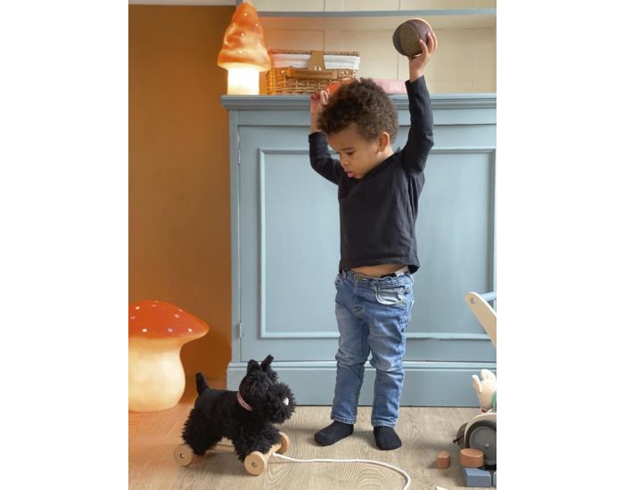 EGMONT TOYS Walter le Chien � Tirer - D�s 12 mois (1)